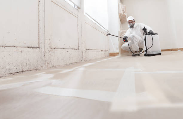24/7 Emergency Basement Mold Remediation experts in Margarettsville, NC